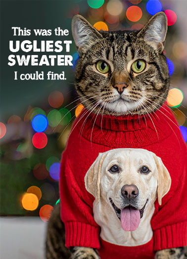 Ugliest Sweater Funny Christmas  Cats A funny Christmas card of a cat wearing an ugly Christmas sweater. | Happy Merry Christmas sweater beautiful funny humorous cat feline XMAS  Wishing you a beautiful Christmas!